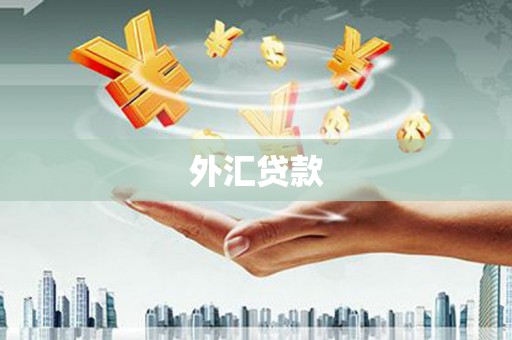 富锦外汇贷款