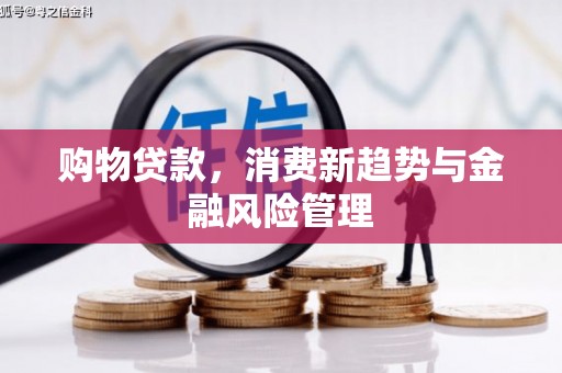 富锦购物贷款，消费新趋势与金融风险管理