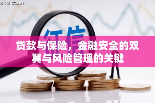 富锦贷款与保险，金融安全的双翼与风险管理的关键