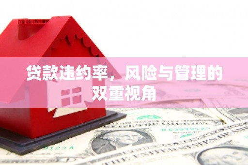 富锦贷款违约率，风险与管理的双重视角