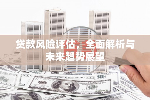 富锦贷款风险评估，全面解析与未来趋势展望