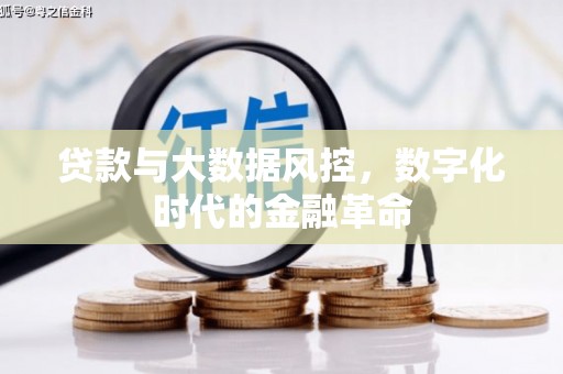 富锦贷款与大数据风控，数字化时代的金融革命