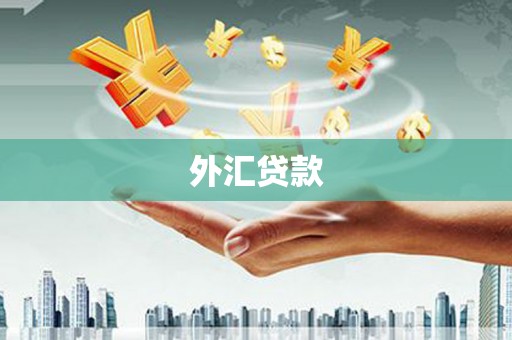 富锦外汇贷款