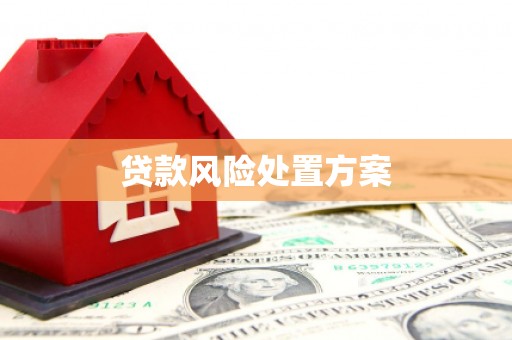富锦贷款风险处置方案