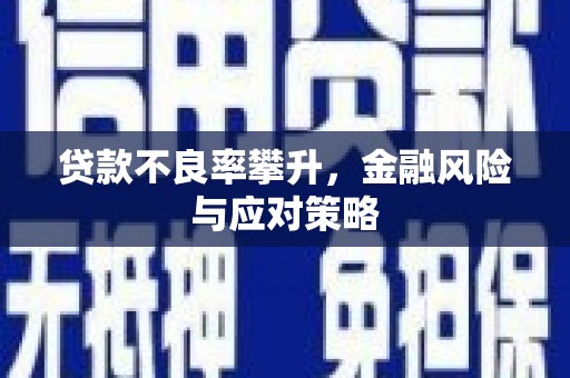 富锦贷款不良率攀升，金融风险与应对策略