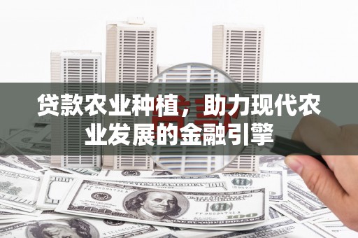 富锦贷款农业种植，助力现代农业发展的金融引擎