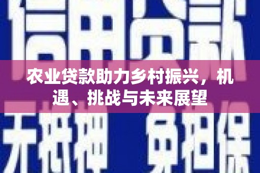 富锦农业贷款助力乡村振兴，机遇、挑战与未来展望