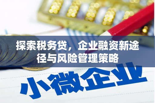 富锦探索税务贷，企业融资新途径与风险管理策略
