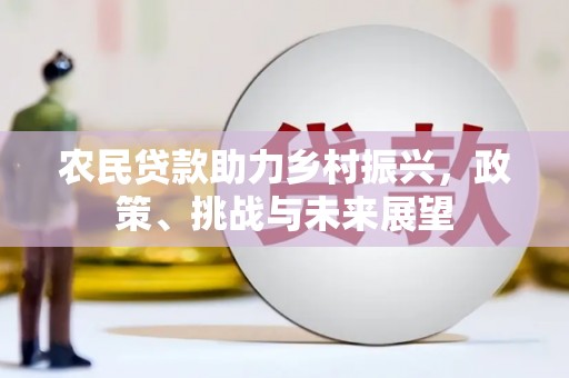 富锦农民贷款助力乡村振兴，政策、挑战与未来展望