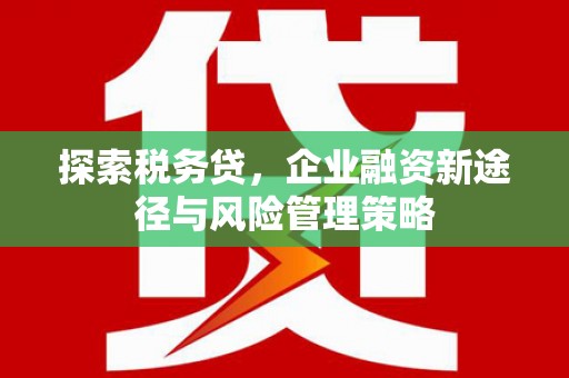 富锦探索税务贷，企业融资新途径与风险管理策略
