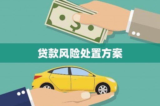 富锦贷款风险处置方案