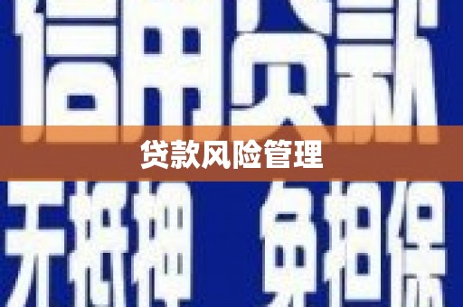 富锦贷款风险管理
