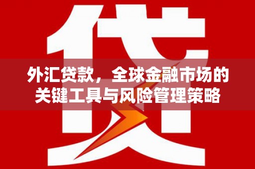 富锦外汇贷款，全球金融市场的关键工具与风险管理策略