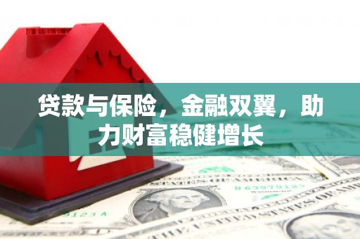 富锦贷款与保险，金融双翼，助力财富稳健增长
