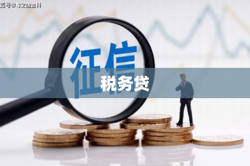 富锦税务贷