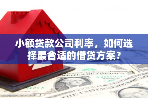 富锦小额贷款公司利率，如何选择最合适的借贷方案？