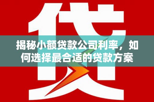富锦揭秘小额贷款公司利率，如何选择最合适的贷款方案