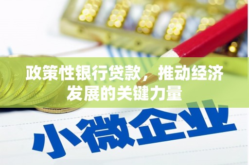 富锦政策性银行贷款，推动经济发展的关键力量