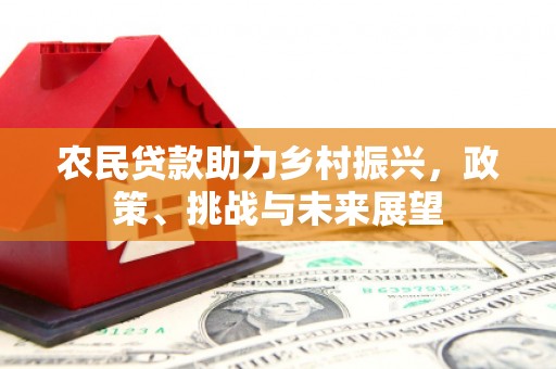 富锦农民贷款助力乡村振兴，政策、挑战与未来展望