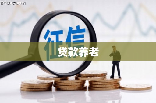 富锦贷款养老