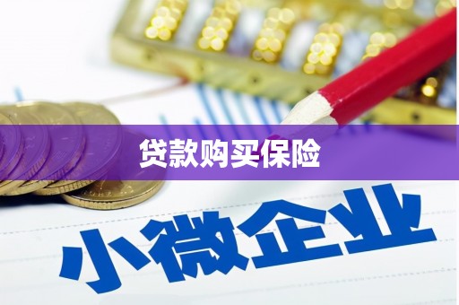富锦贷款购买保险