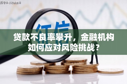 富锦贷款不良率攀升，金融机构如何应对风险挑战？