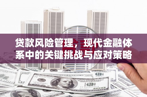 富锦贷款风险管理，现代金融体系中的关键挑战与应对策略