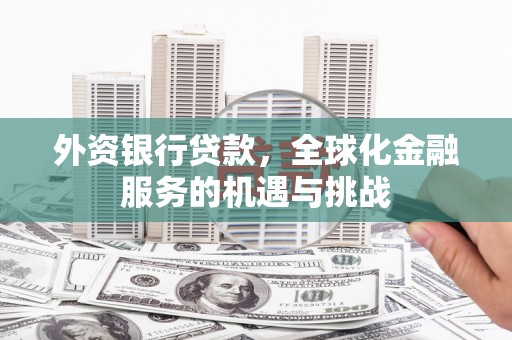富锦外资银行贷款，全球化金融服务的机遇与挑战