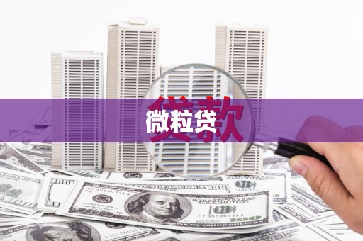 富锦微粒贷