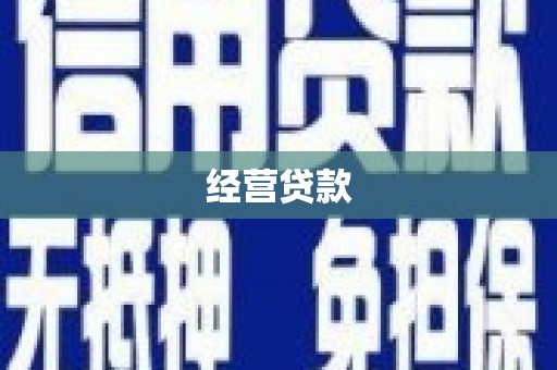 富锦经营贷款